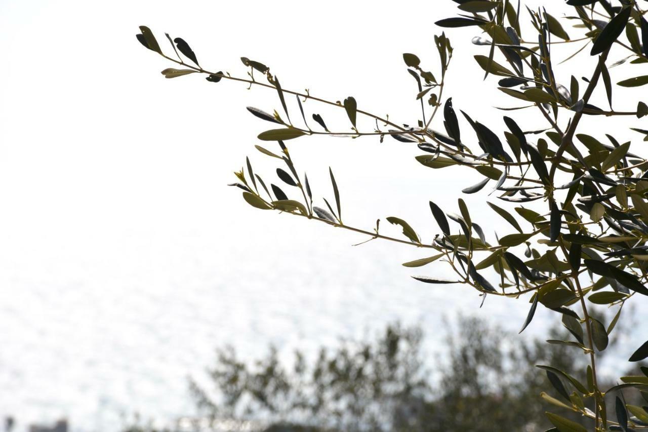 La Torretta Villa Imperia Buitenkant foto